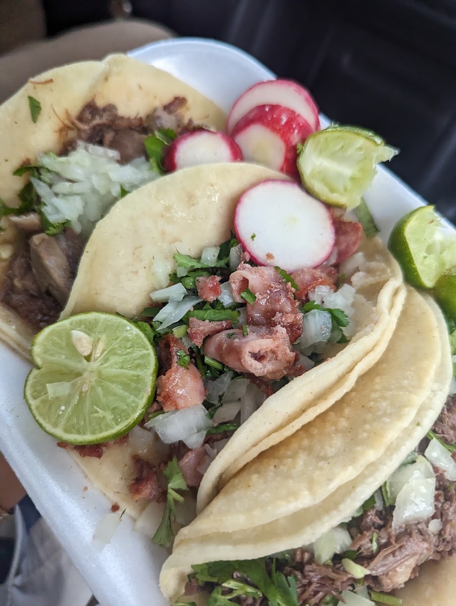 Picnik Taco Truck