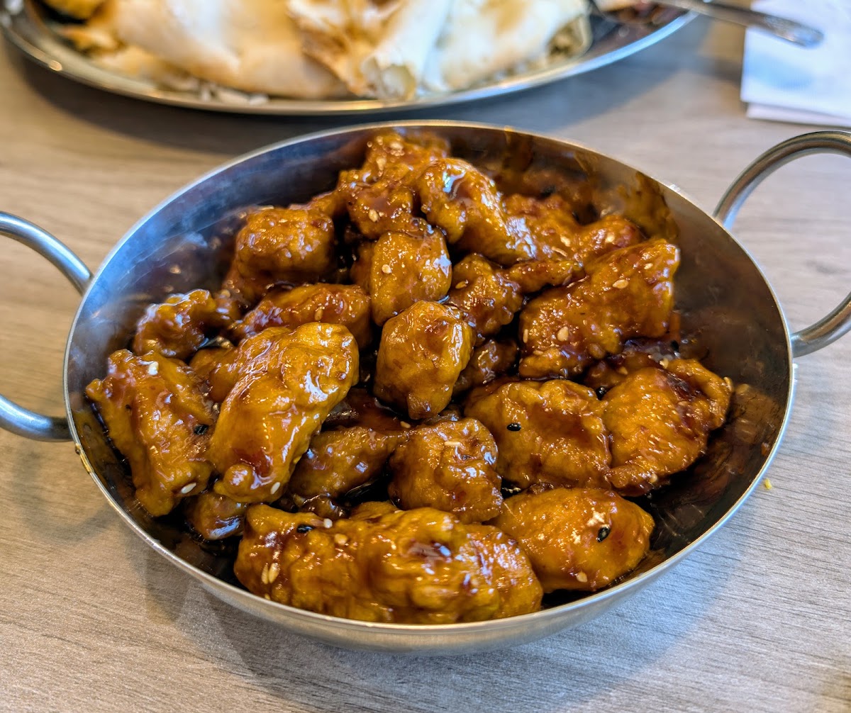 Shahi Cuisine - Indian and Chinese