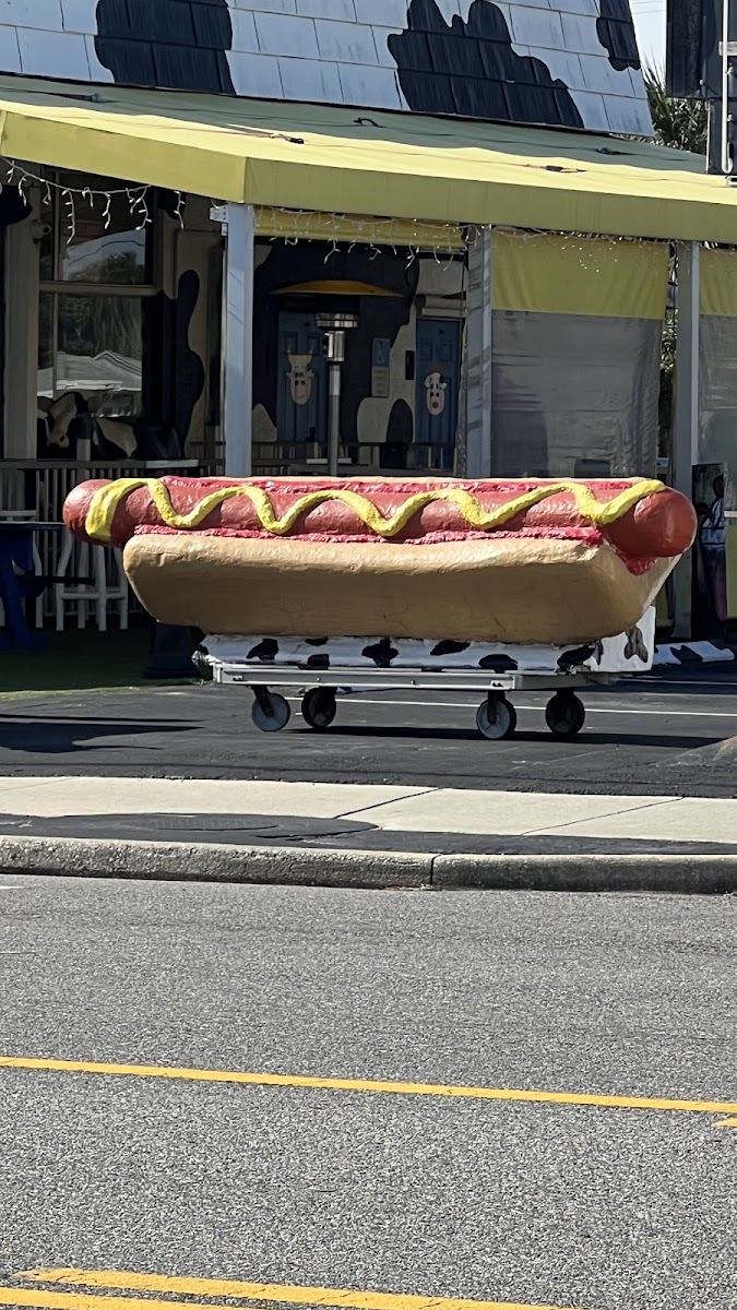 Coney Island Hot Dogs