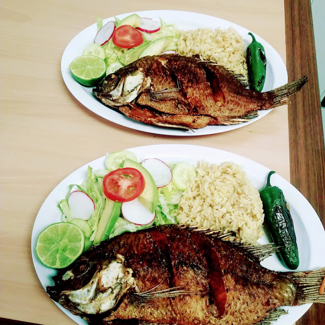 Tilapia