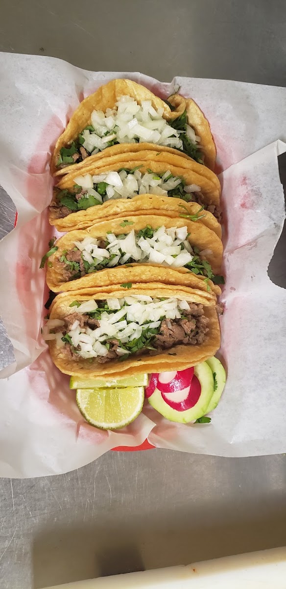 Taqueria dalias