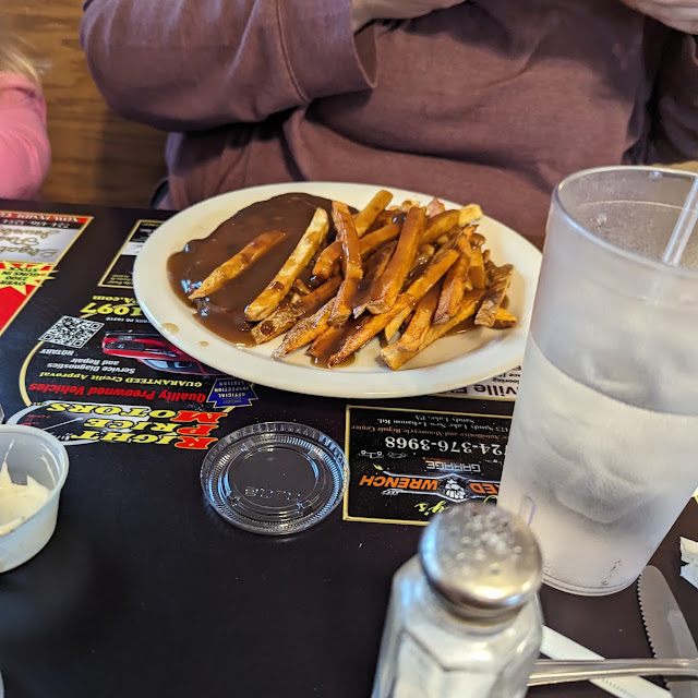 Salisbury Steak Fries
