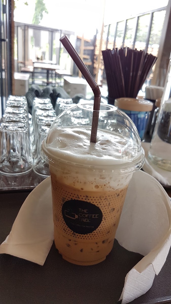 Tryme House - Specialty coffee & matcha