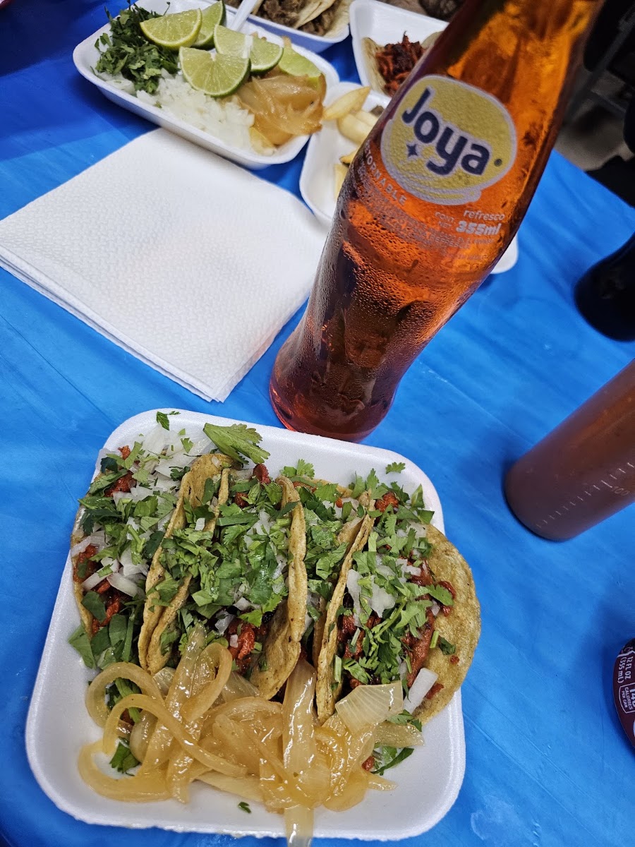 Taqueria el totopo