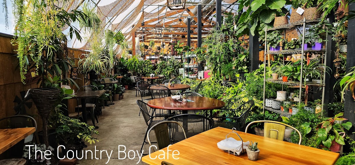Country Boy Cafe
