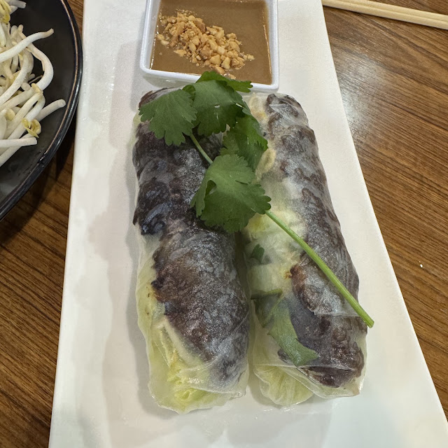 Grilled Beef Spring Rolls 2
