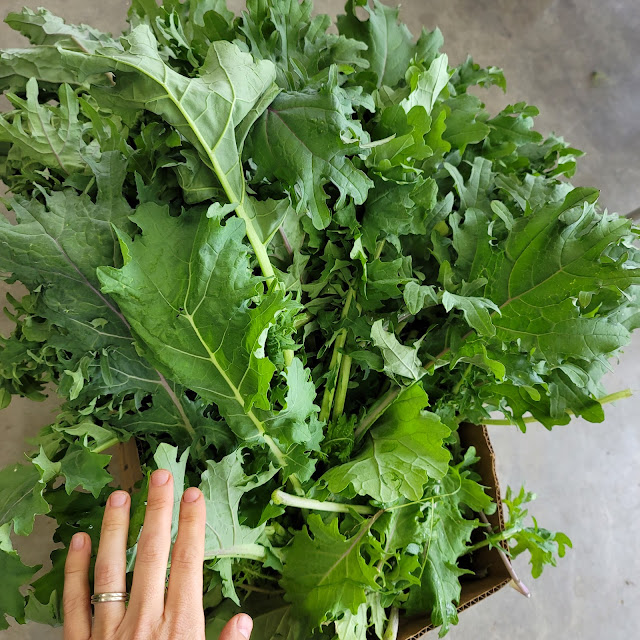 Greens