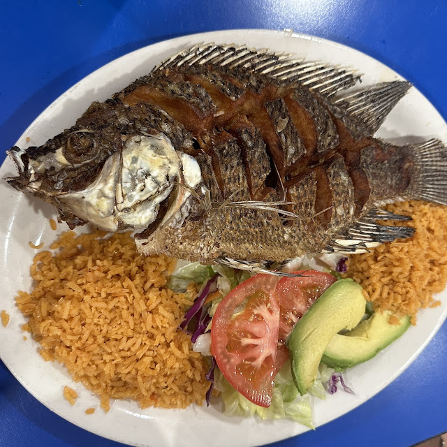 Fish