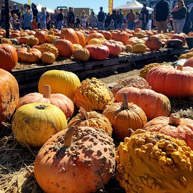 Pumpkin