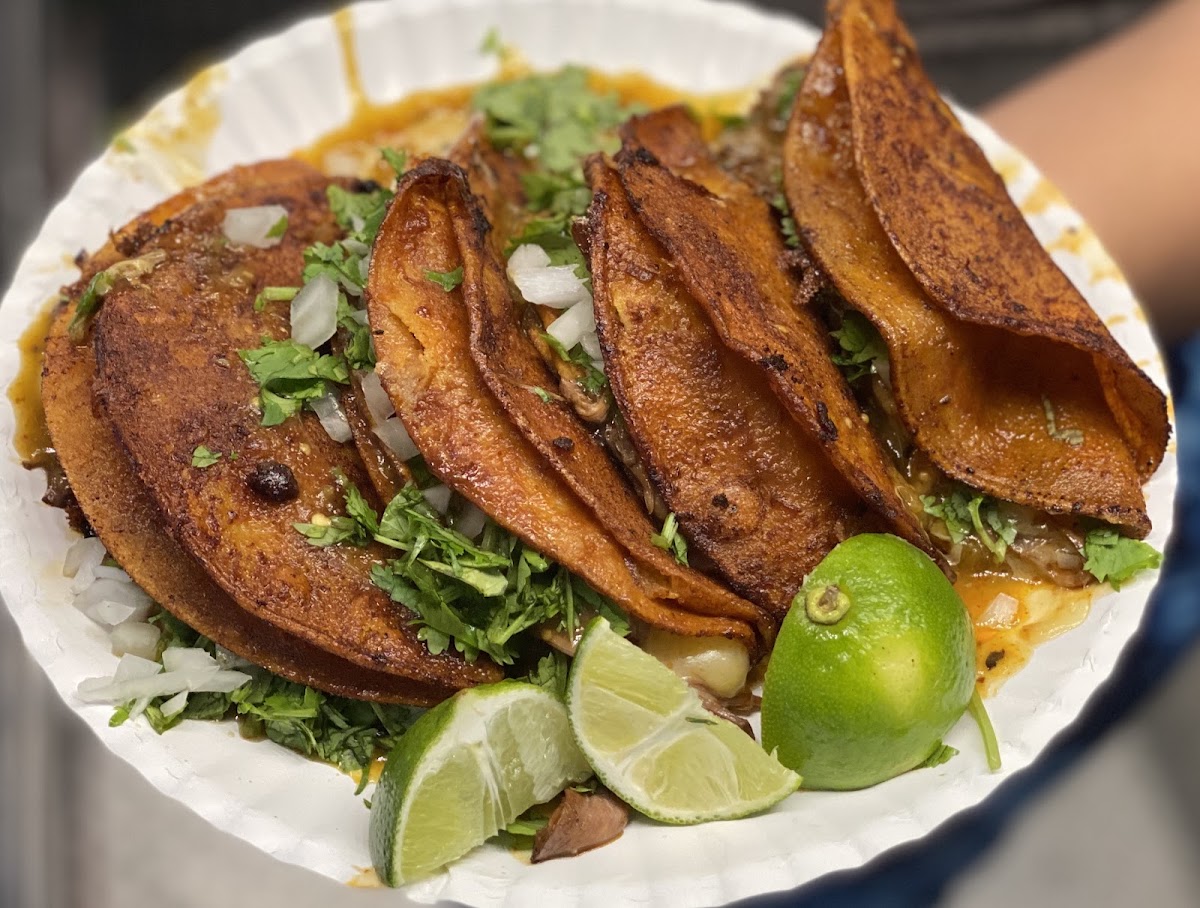 Santa Ana Amatlan Taco Truck