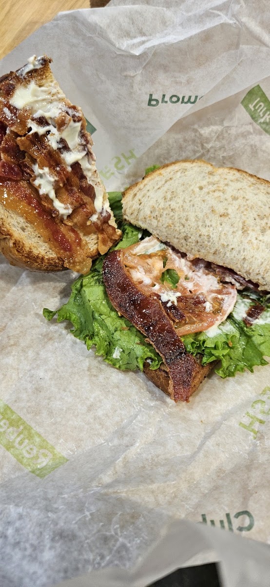 Arby’s Pilot