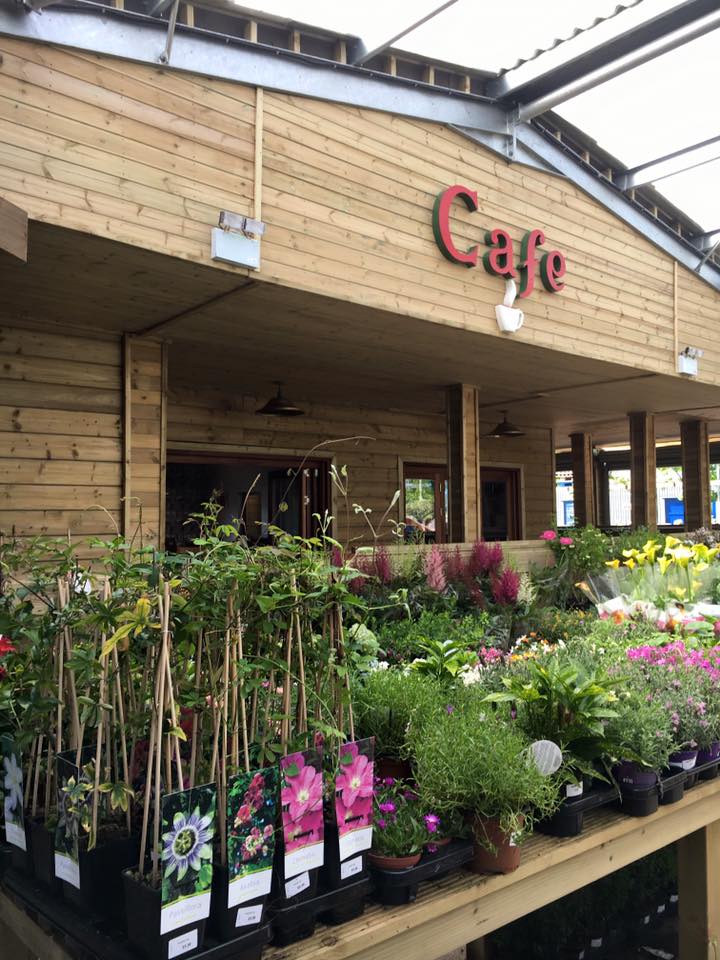 What! Stores Cafe