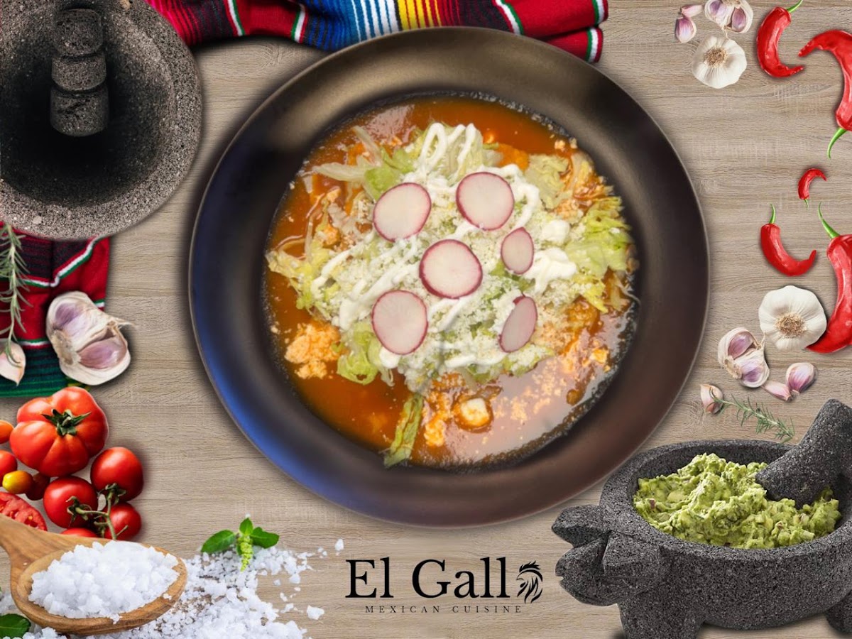 El Gallo Mexican Cuisine