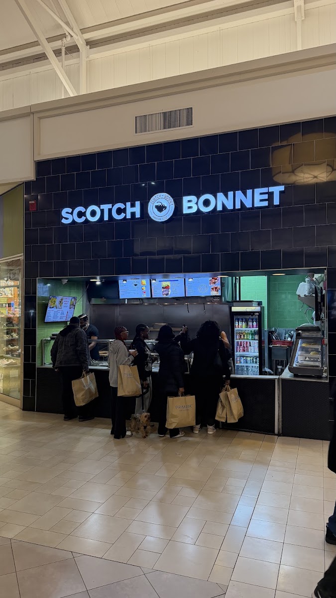 Scotch Bonnet