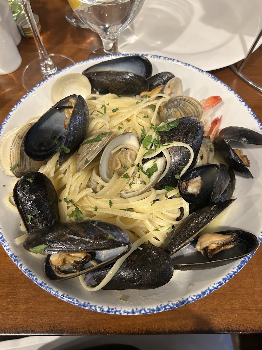 Amalfi Ristorante BYOB