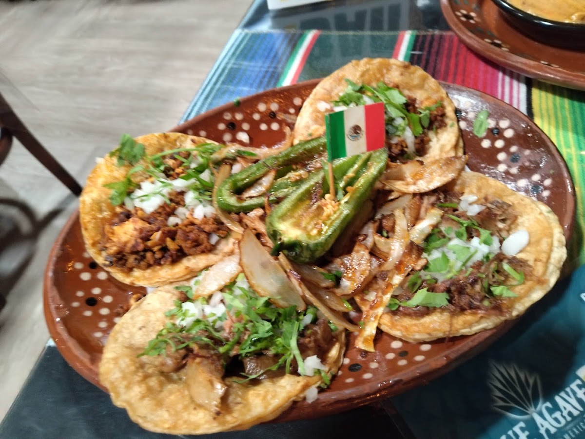 Blue Agave Mexican Bar & Grill