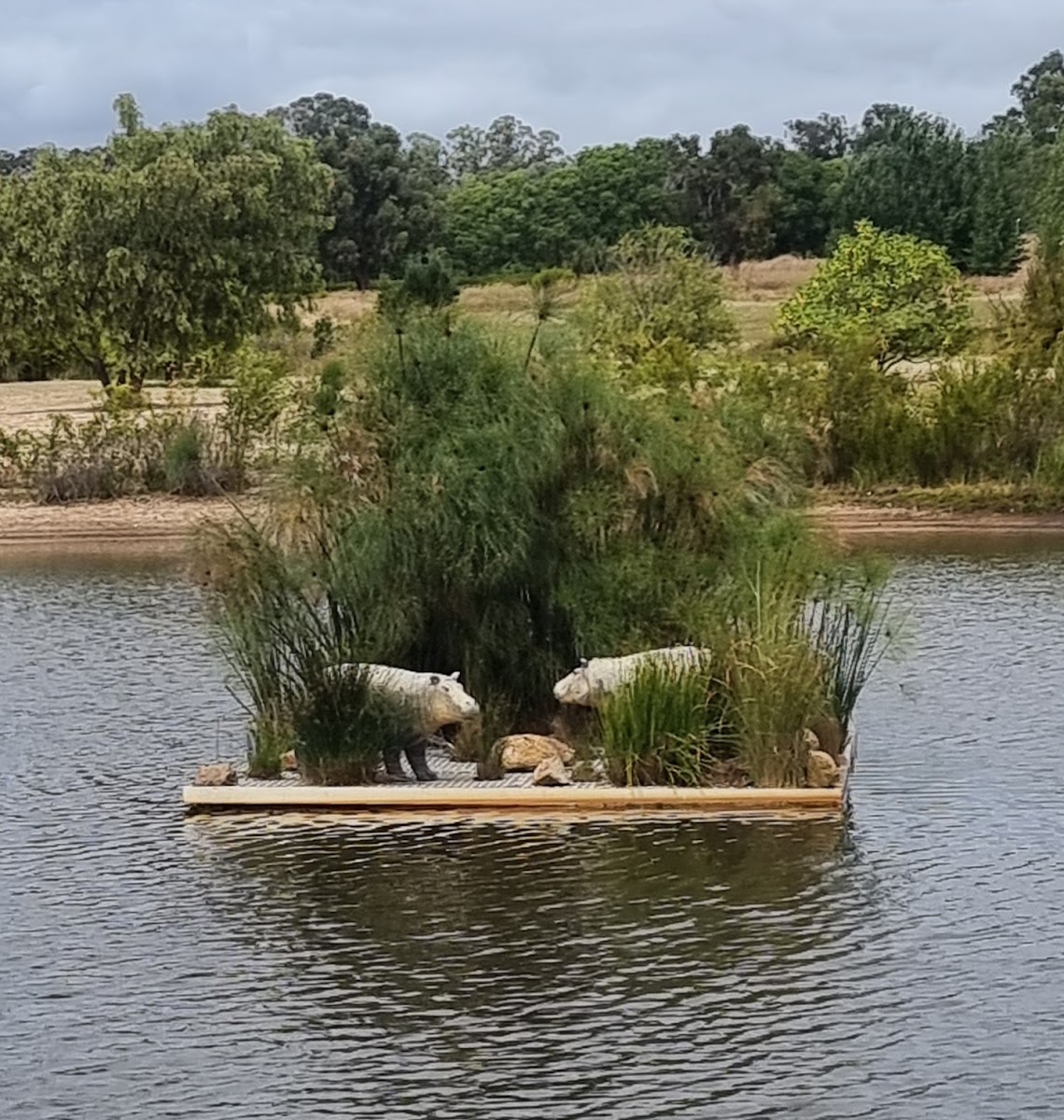 Hippo Lakes
