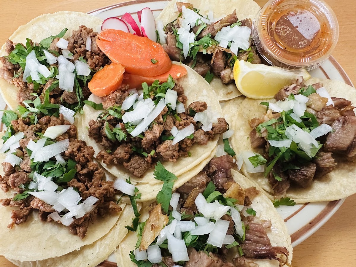 Taqueria Campestre