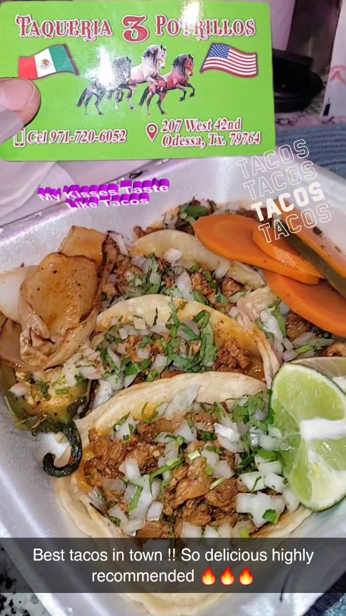 Taqueria Los 3 Potrillos de Jalisco LLC