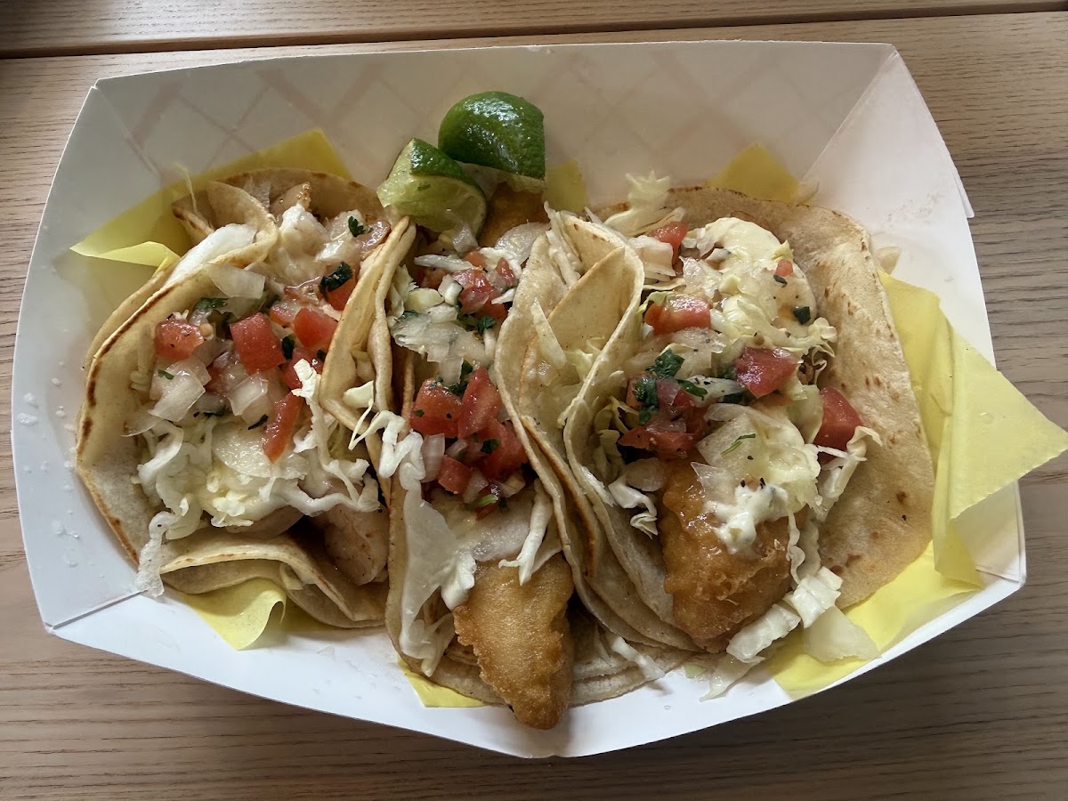 El Coyote