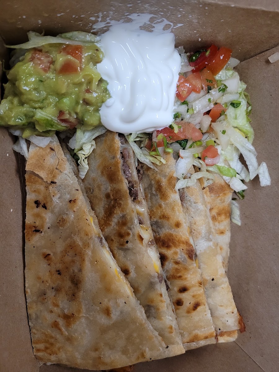 El Coyote