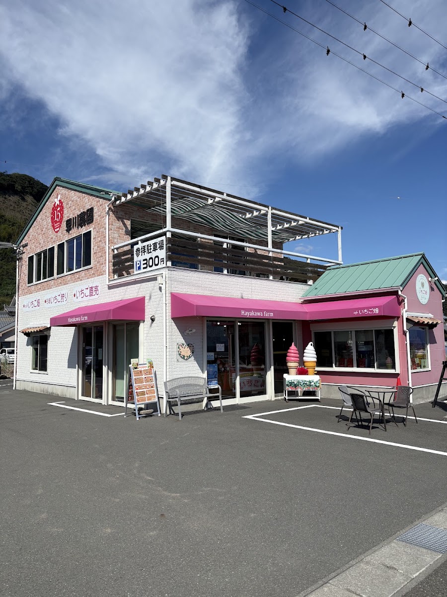 Hayakawa Orchards
