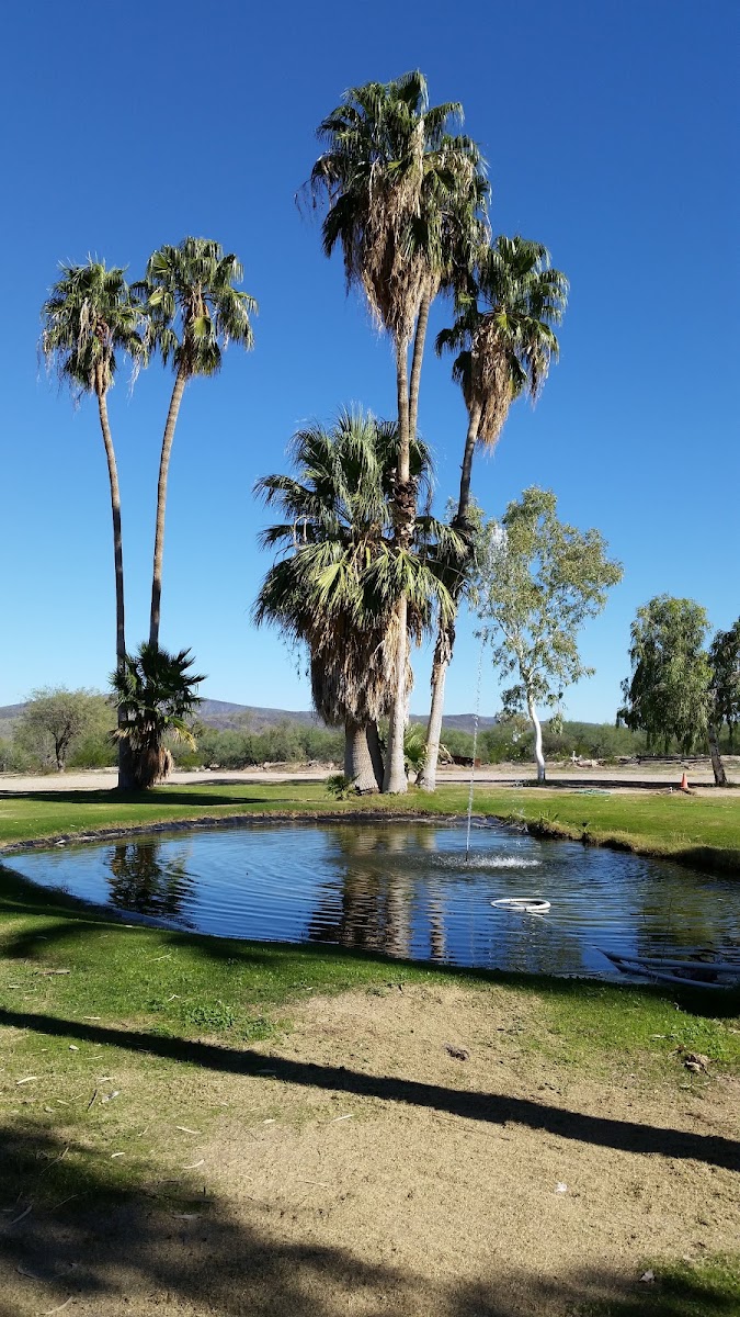 Ajo Country Club Restaurant & Lounge