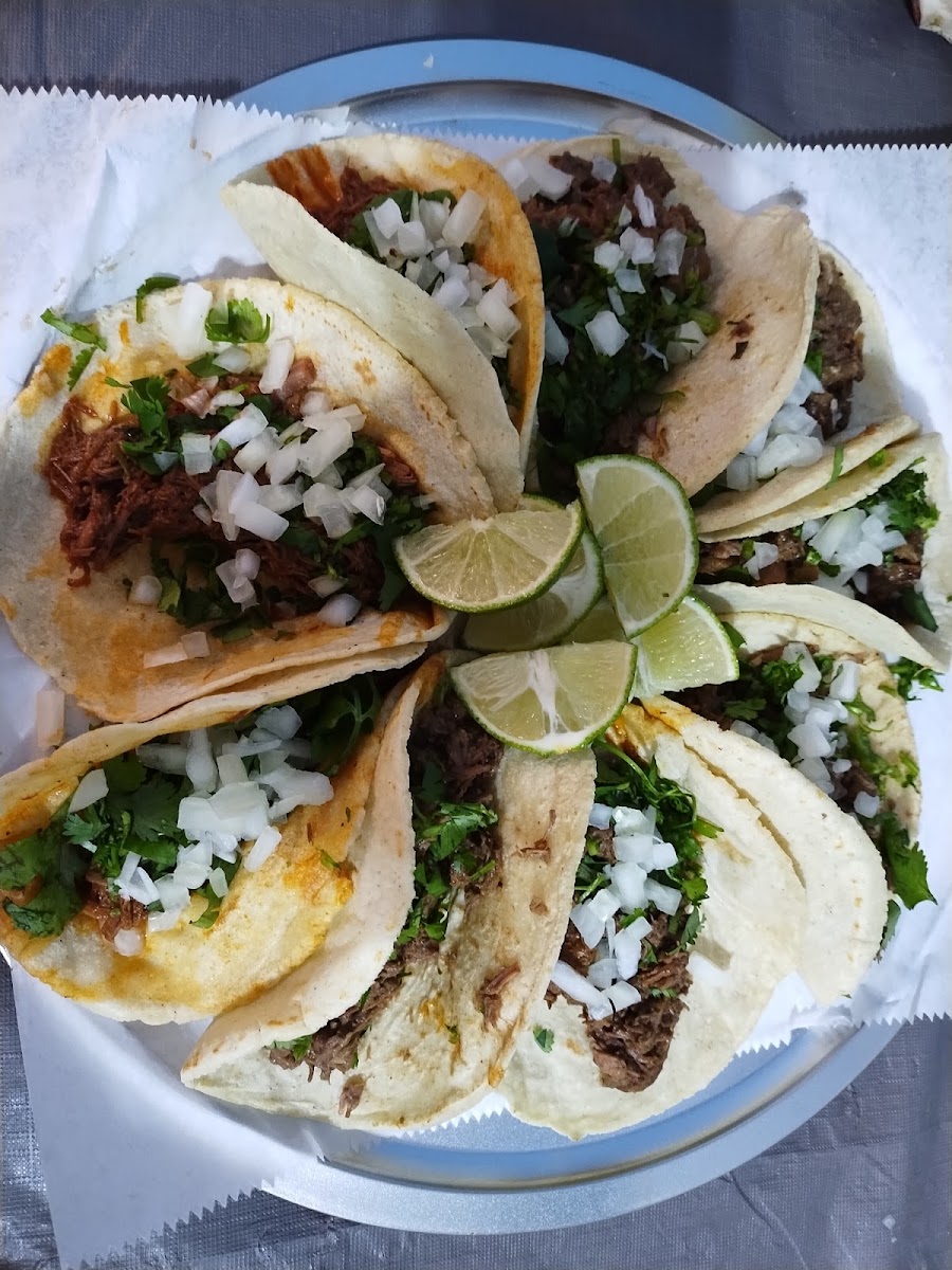 Gonzalez tacos y antojitos mexicanos