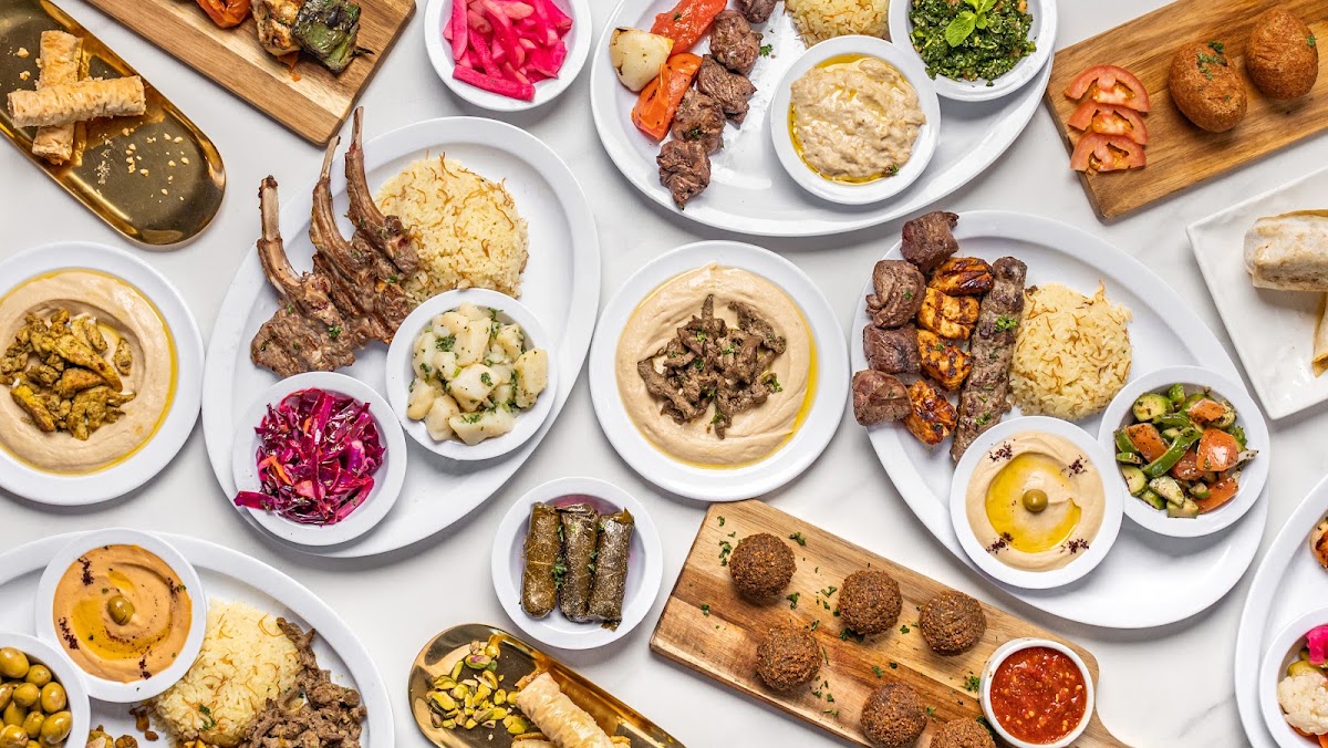 Olive Roots Mediterranean Cuisine