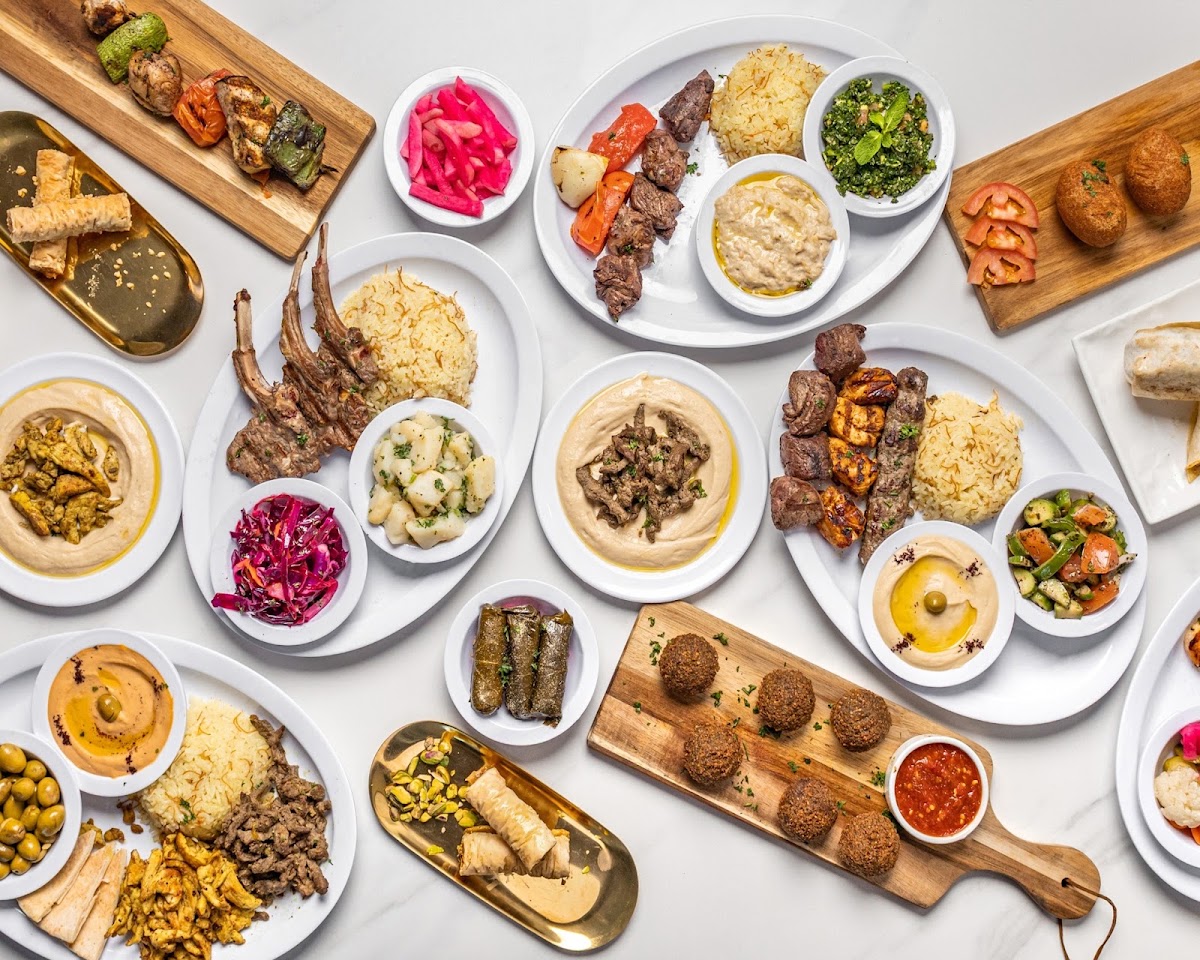 Olive Roots Mediterranean Cuisine