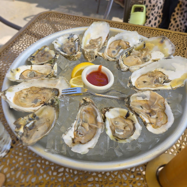 Delaware Oysters