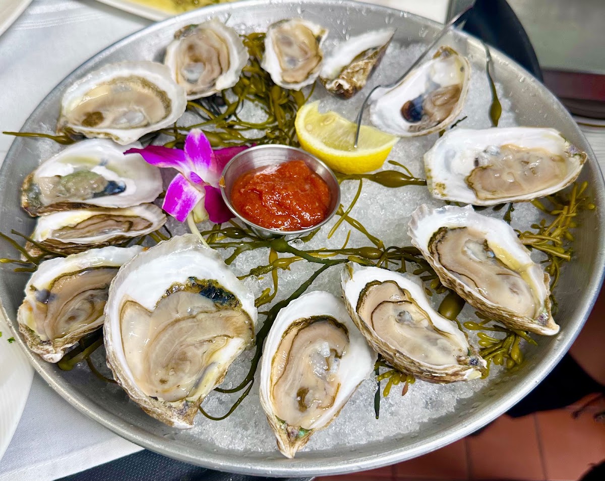 Prime 374 - Seafood & Steak