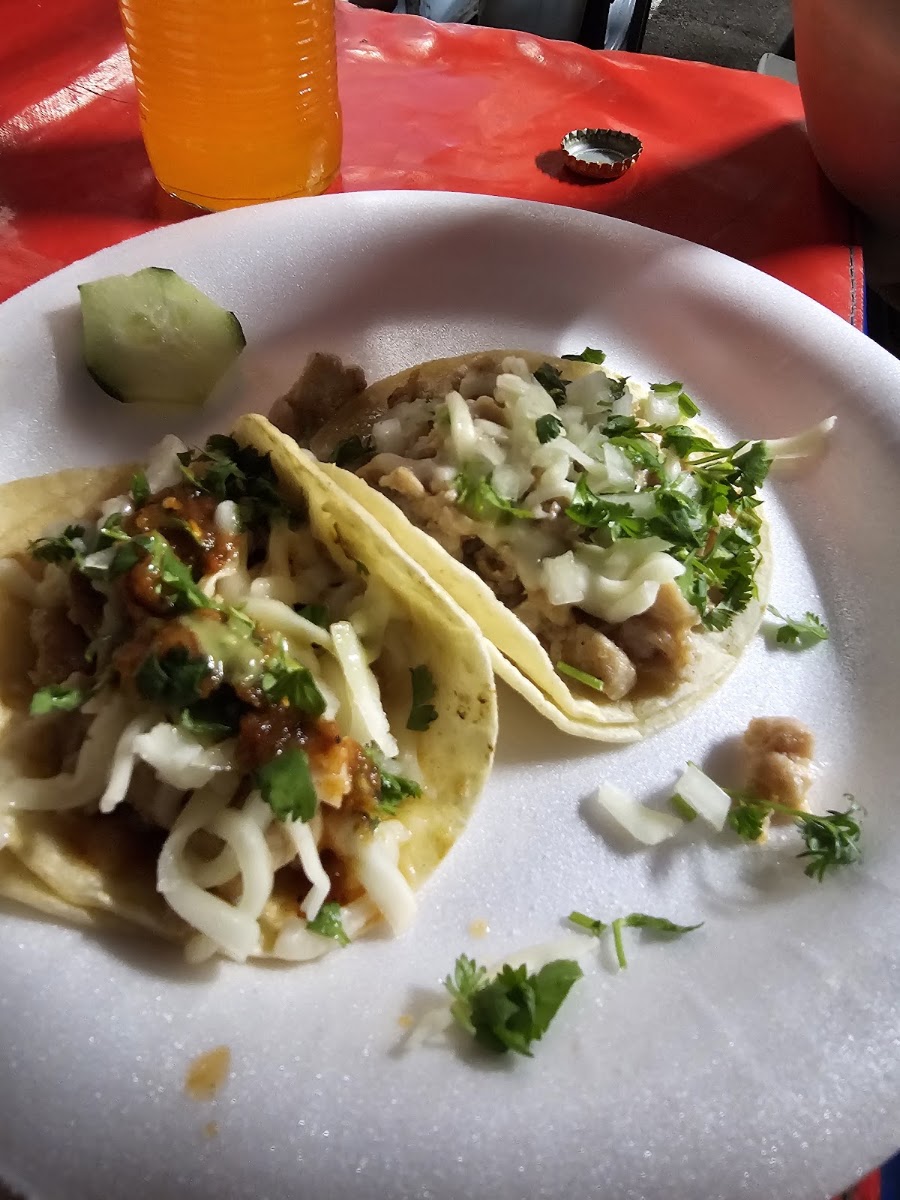 El quiché pupusas