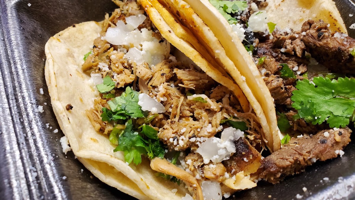Gato Tacos