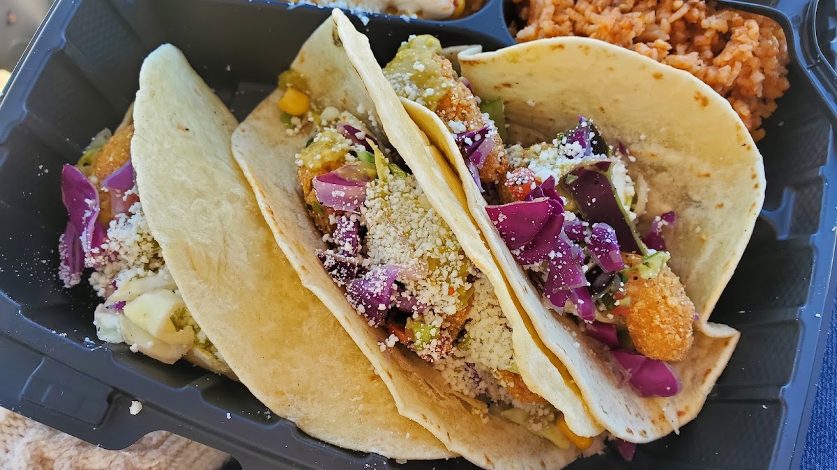 Gato Tacos