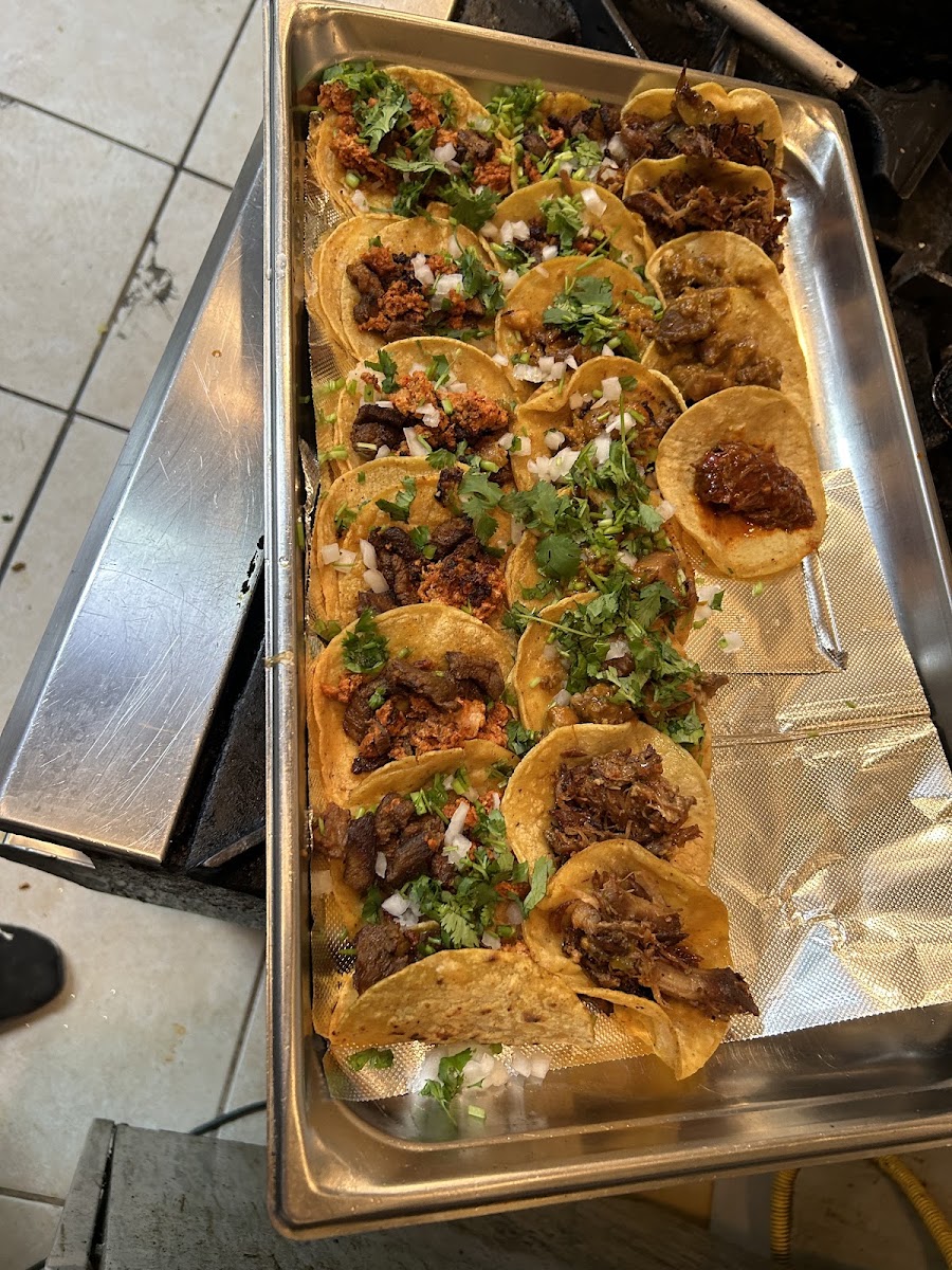 Tacos Y Tortas El Viejon