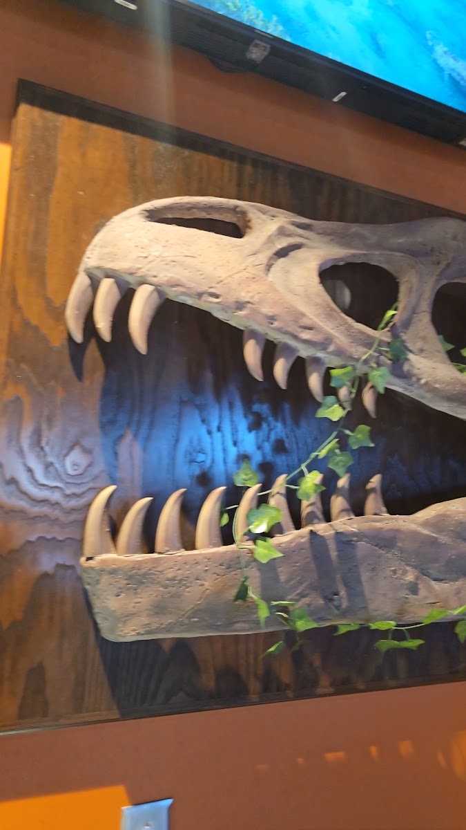 Pangaea Dinosaur Grill