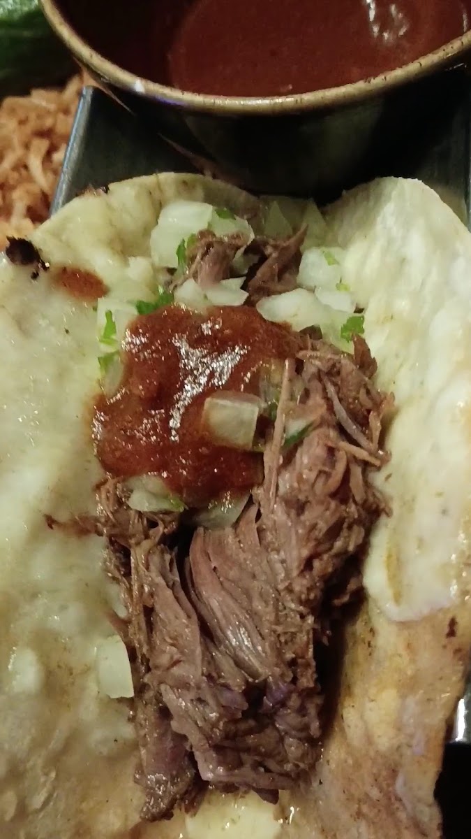 Blue Coyote Cantina