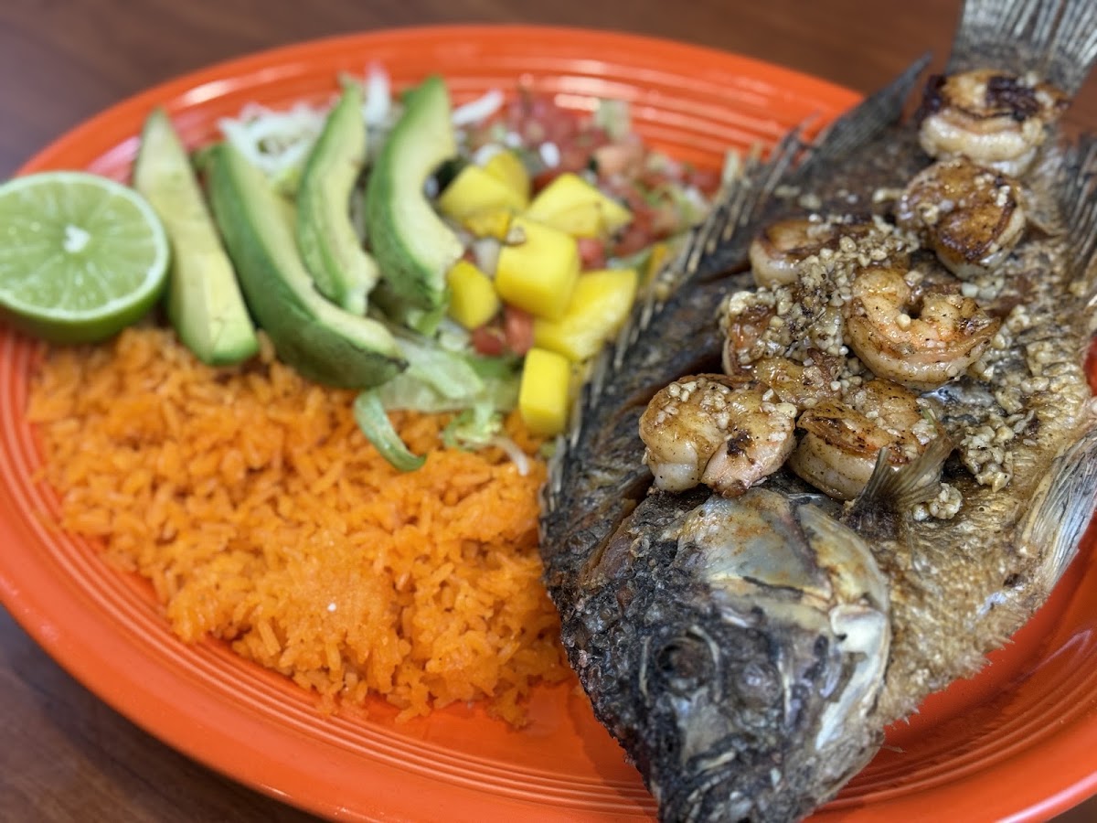 El Jimador Mexican Grill