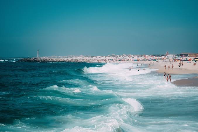 The Invy Cafe Al Mare