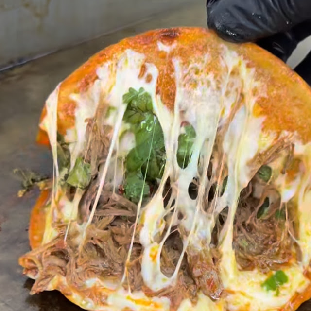Birria Burrito