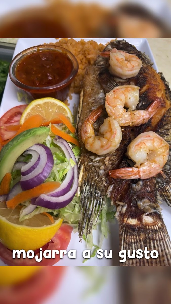 El Gallo Maro Taqueria