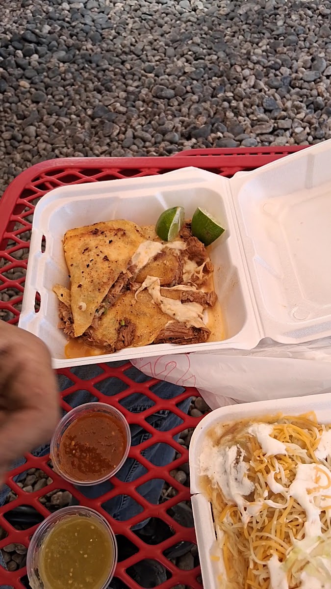 FRIDA Food Truck