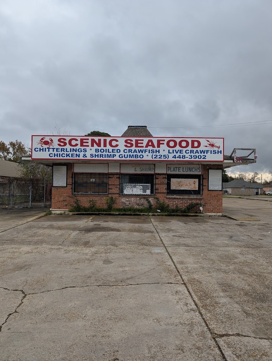 Scenic Seafood