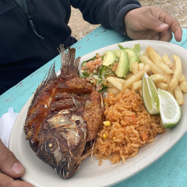 Mojarra