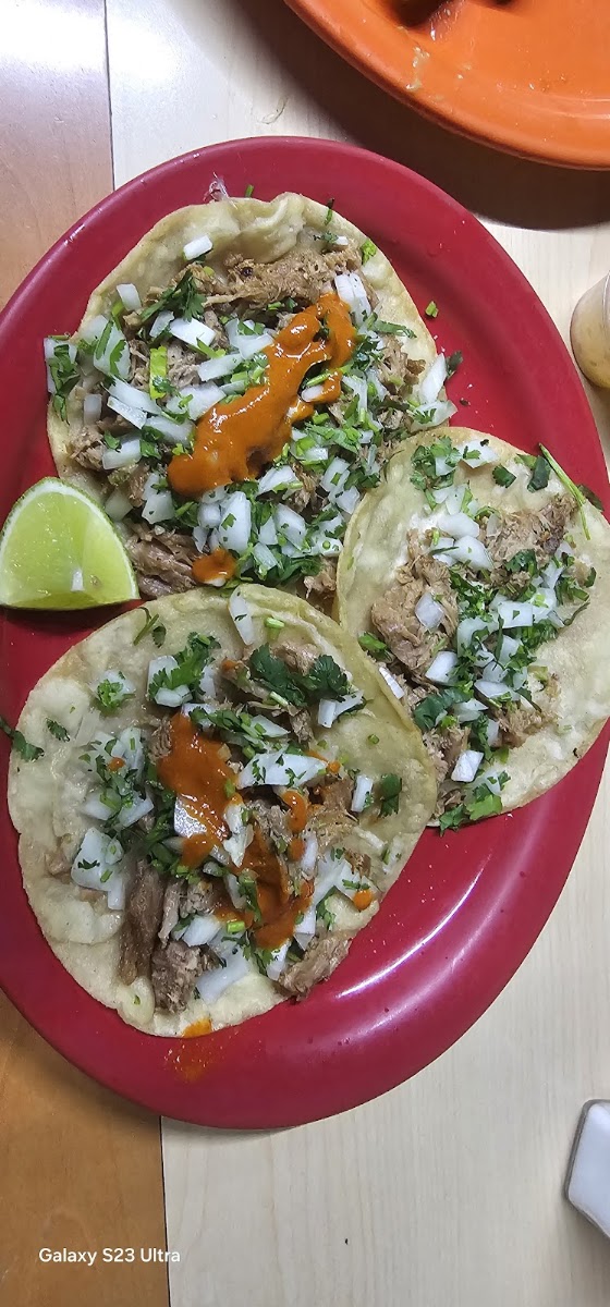 Tacolandia