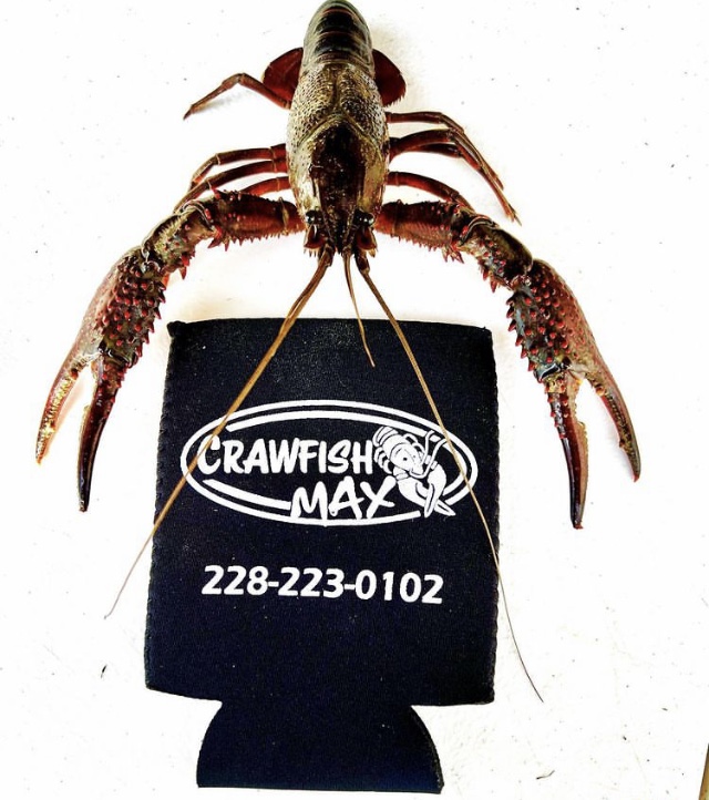 Crawfish MAX Diamondhead