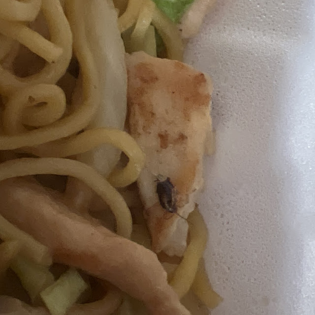 Udon