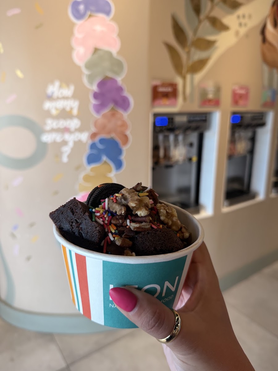 Zeinas Frozen Yogurt