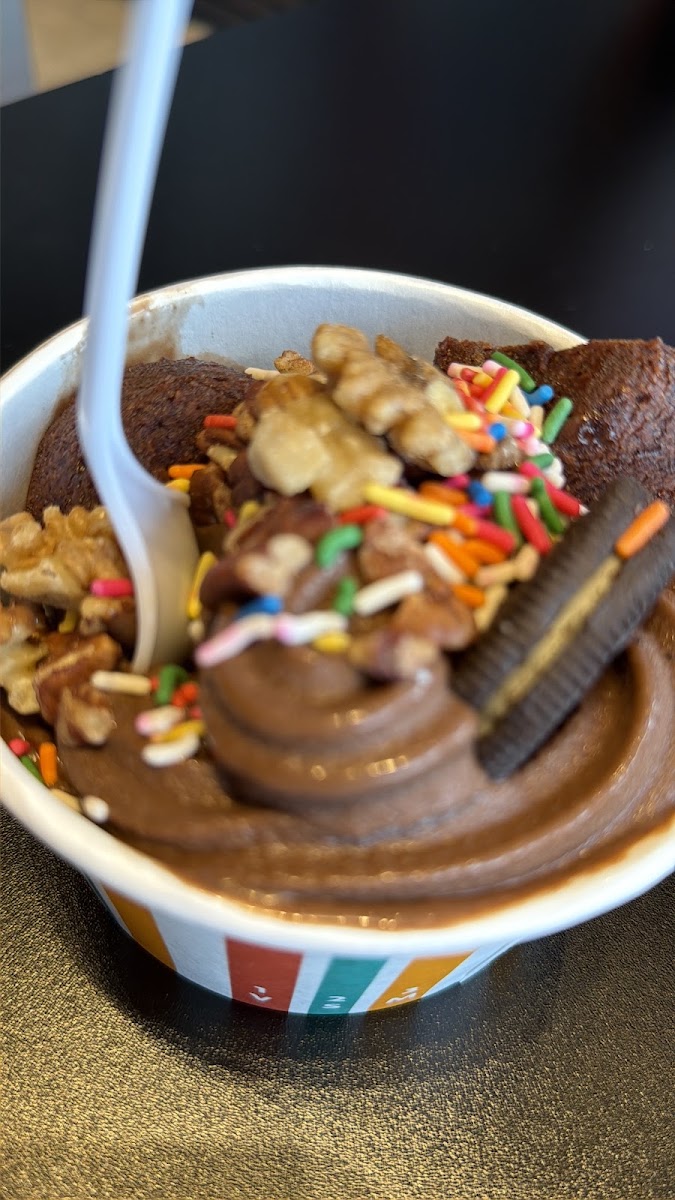 Zeinas Frozen Yogurt